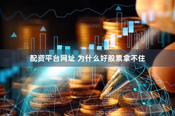 配资平台网址 为什么好股票拿不住