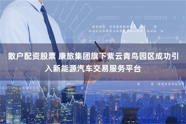 散户配资股票 康旅集团旗下紫云青鸟园区成功引入新能源汽车交易服务平台