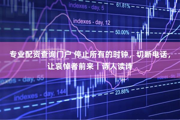 专业配资查询门户 停止所有的时钟，切断电话，让哀悼者前来丨诗人读诗
